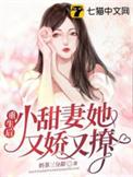 小甜妻她又娇又撩