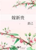 嫁新贵txt意己