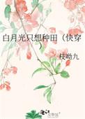 白月光只想离婚作者麦芽唐