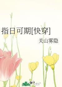 指日可待是啥意思