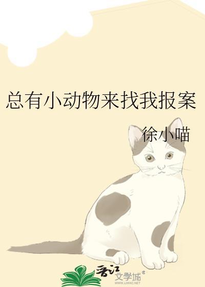总有小动物来找我报案徐小喵