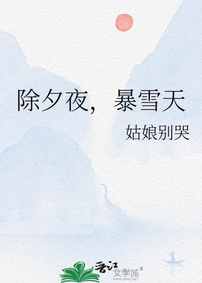 除夕夜暴雪天全本txt百度