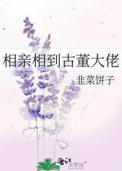 相亲相到古董大佬百度