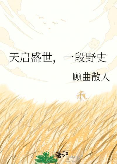 天启是啥