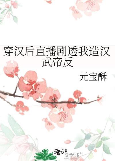 穿越后釆访汉武帝