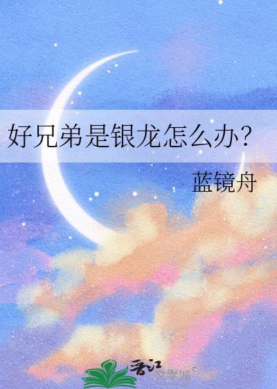 银龙好兄弟TXT