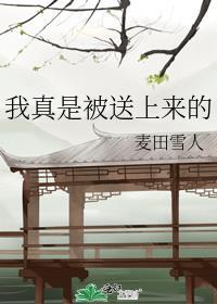 我真是被送上来的晋江文学城
