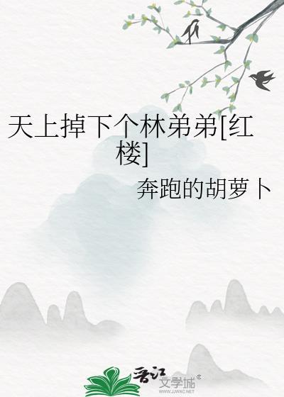 天上掉下个林弟弟