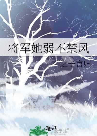 将军她弱不禁风之子言gui