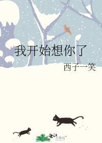 歌词我开始想你了