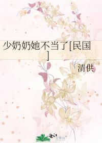 少奶奶她不当了民国清供