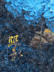 照影大约需要花多少钱