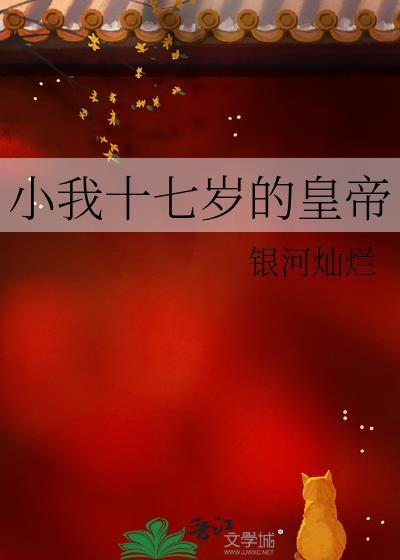穿越成17岁小皇帝的