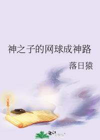 新网球王子神之子vs手冢