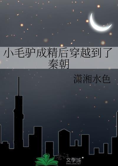 小毛驴道具