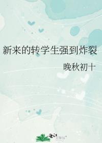 转校生在新学校的感受发言稿
