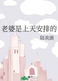 老婆是上天安排的番外 陆欢颜免费