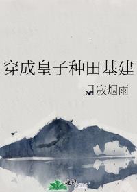 穿越成皇子的书