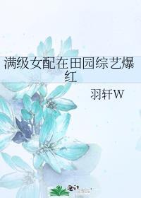 满级女配在田园综艺爆红无防盗