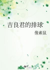 吉良君的排球txt资源链接