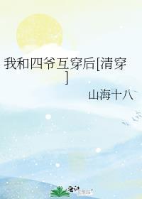 与四爷有关的清穿