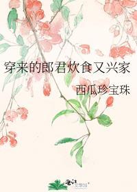 穿来的郎君炊食又兴家格格党