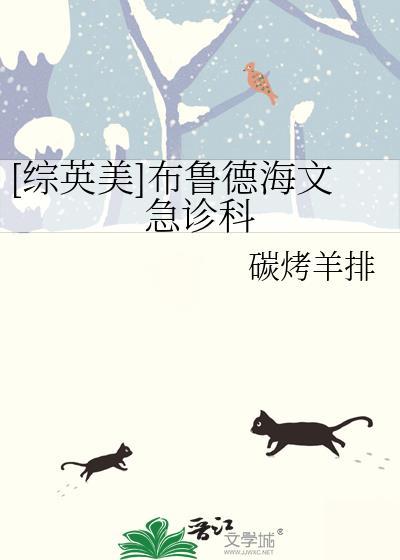 综英美布鲁德海文急诊科