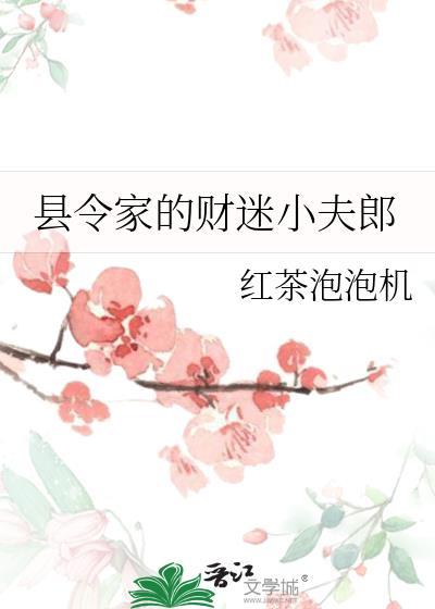 县令家的财迷小夫郎200章在线阅读