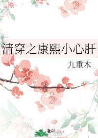 清穿之康熙小心肝九重木
