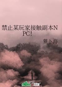 禁止某玩家接触副本npc剧透