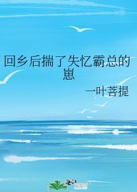 回乡后揣了失忆霸总的崽剧透