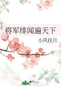 将军绯闻遍天下笔趣阁