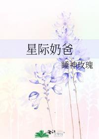 星际奶爸txt