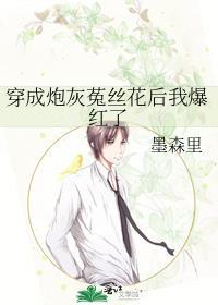 穿成炮灰[穿书