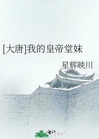 大唐我成了皇后的御用太监