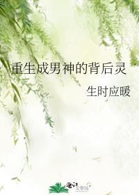 重生成男神的背后灵魂