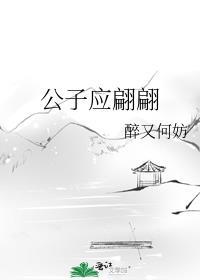 公子应翩翩笔趣阁