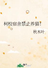学校宿舍能不能养猫
