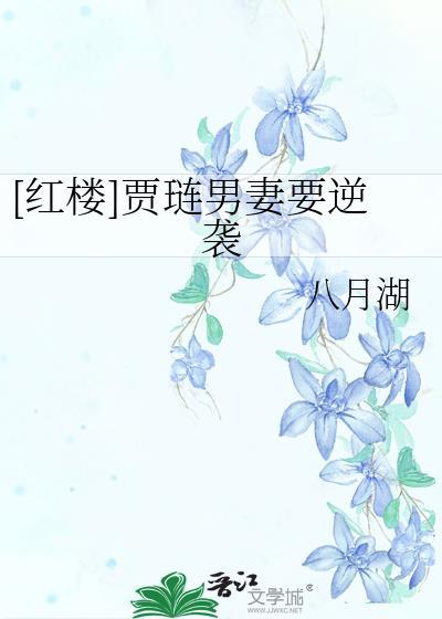 红楼贾琏男妻要逆袭免费28