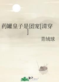 药罐皇子是团宠[清穿