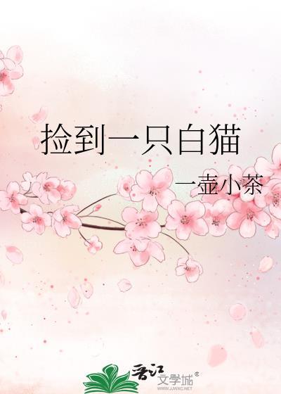 捡到一只白猫一壶小茶