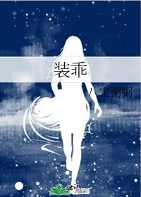 装乖追妻指南