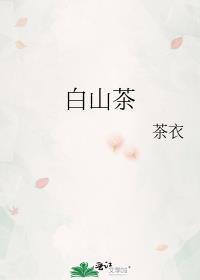 白山茶什么时候发布的
