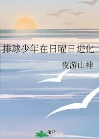 排球少年在日曜日进化免费