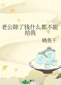 老公除了钱什么都不能给我晋江