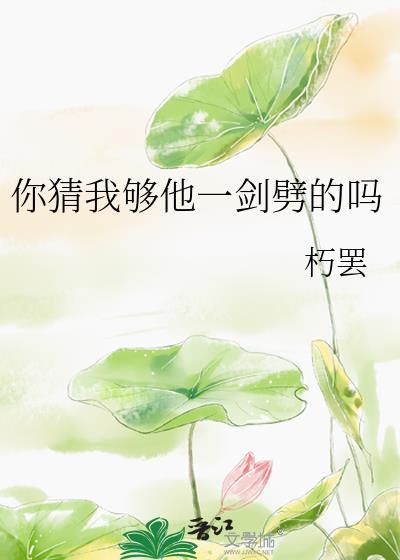 你猜我够他一剑劈的吗笔趣阁