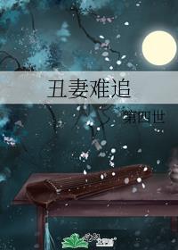 丑妻