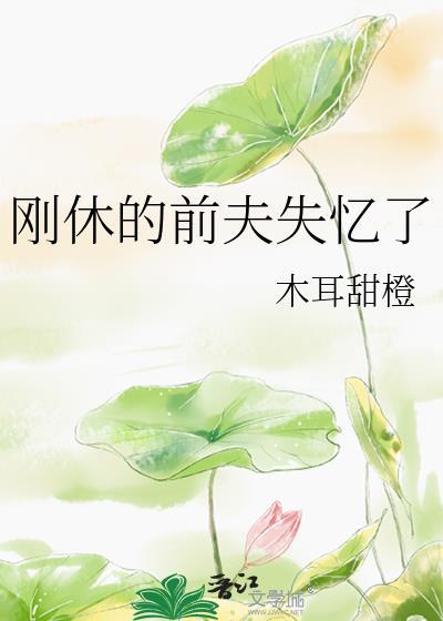 刚休的前夫失忆了全文阅读