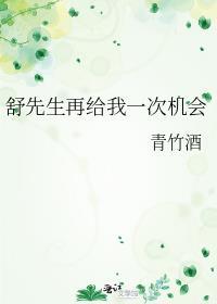 舒先生再给我一次机会晋江txt