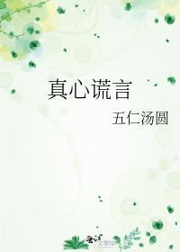 真心谎言3d字谜正版